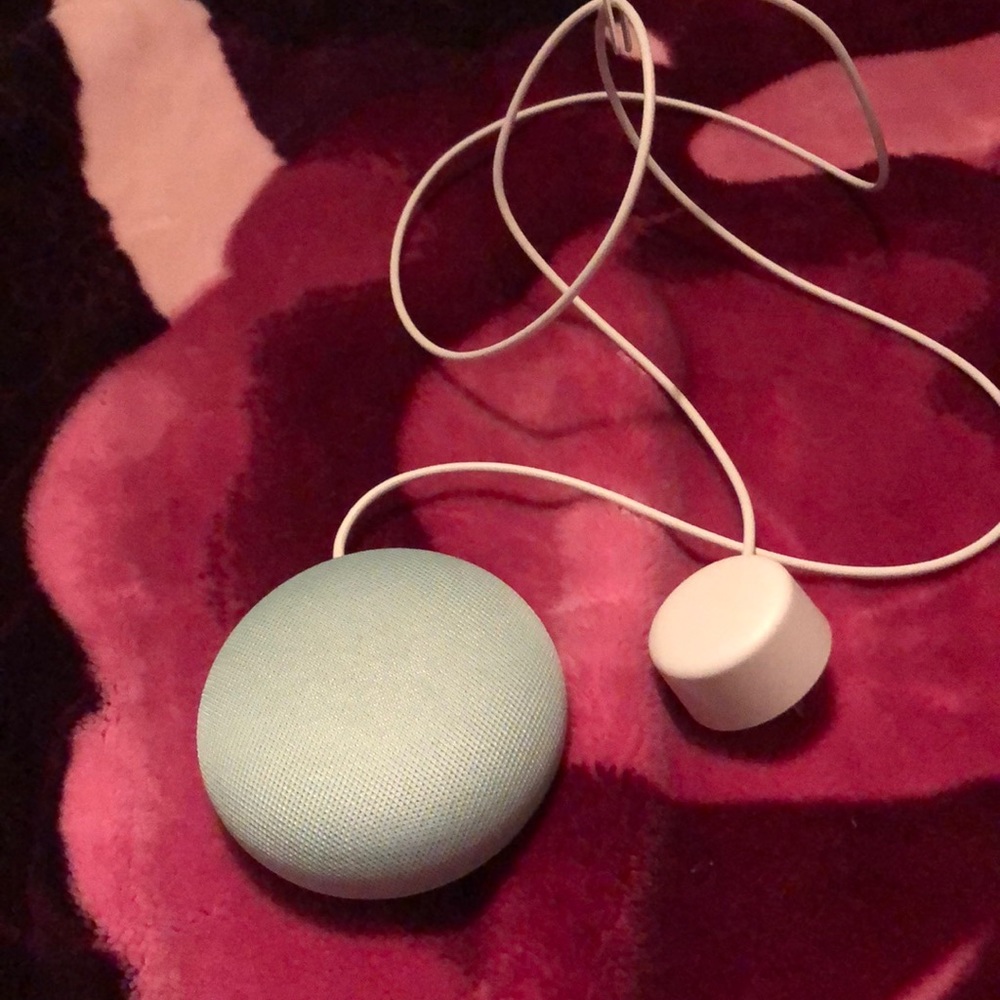 Google Home Mini Aqua